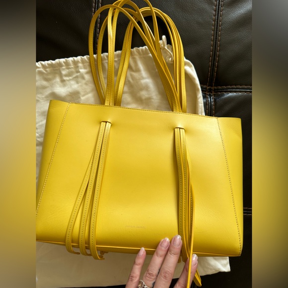 Mansur Gavriel Mini Fringe Tote Bag in Calf Leather Yellow - Picture 5 of 13
